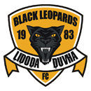 Black Leopards