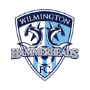 Wilmington Hammerheads