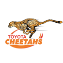 Cheetahs