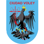 Ciudad Voley