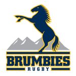 Brumbies